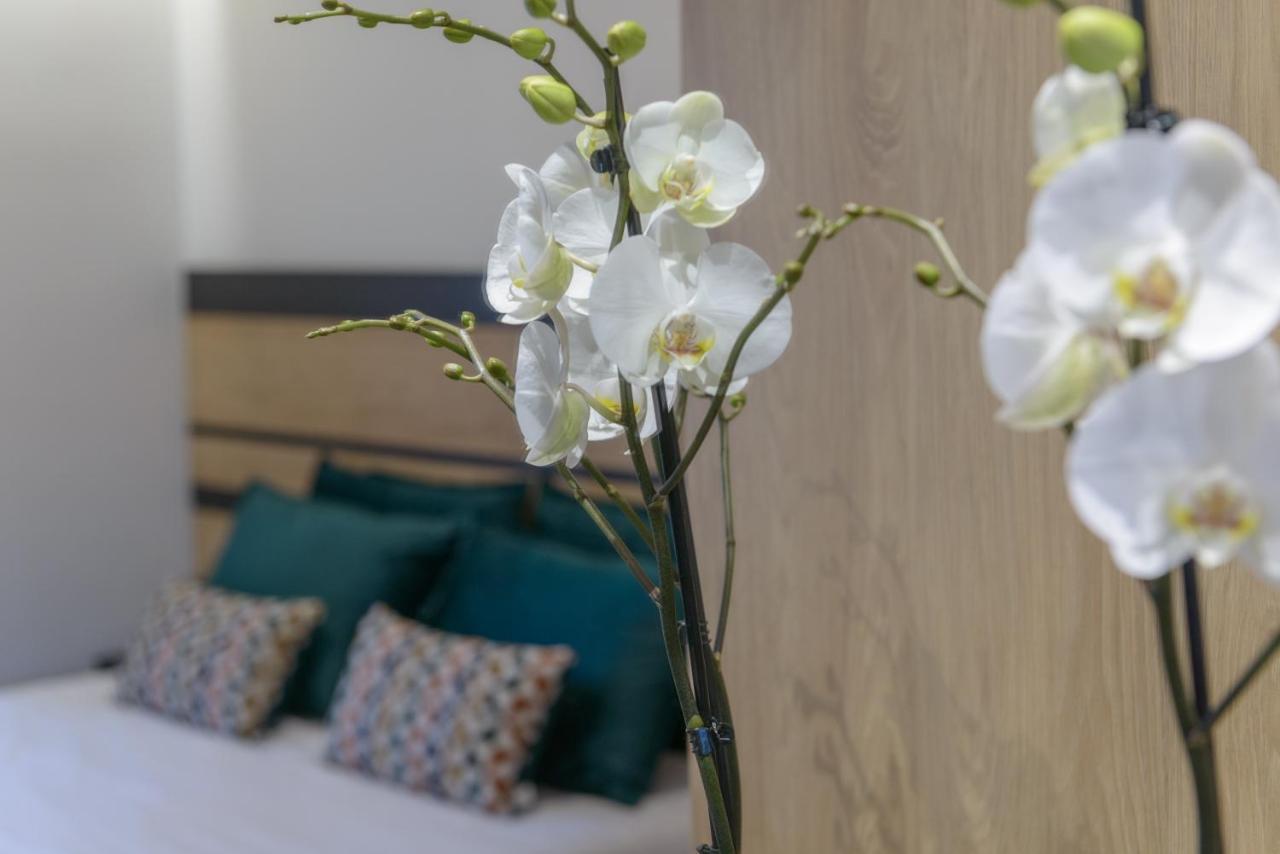 이라클리온 Casa Tali Porto 아파트 외부 사진